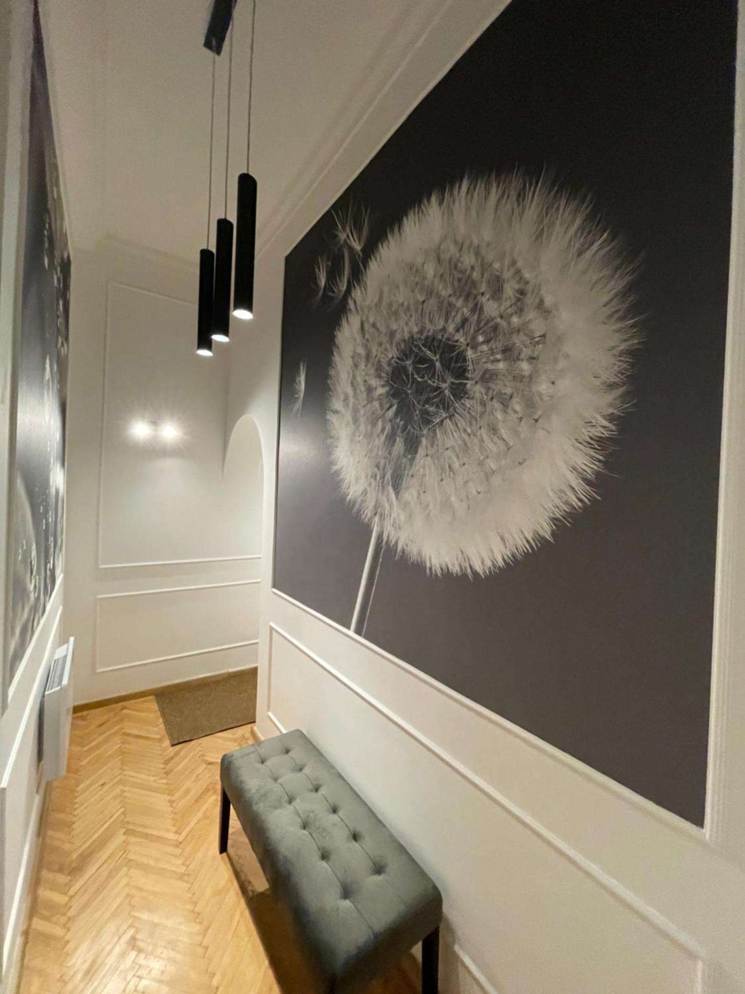 Flower Apartment Budapeşte Dış mekan fotoğraf